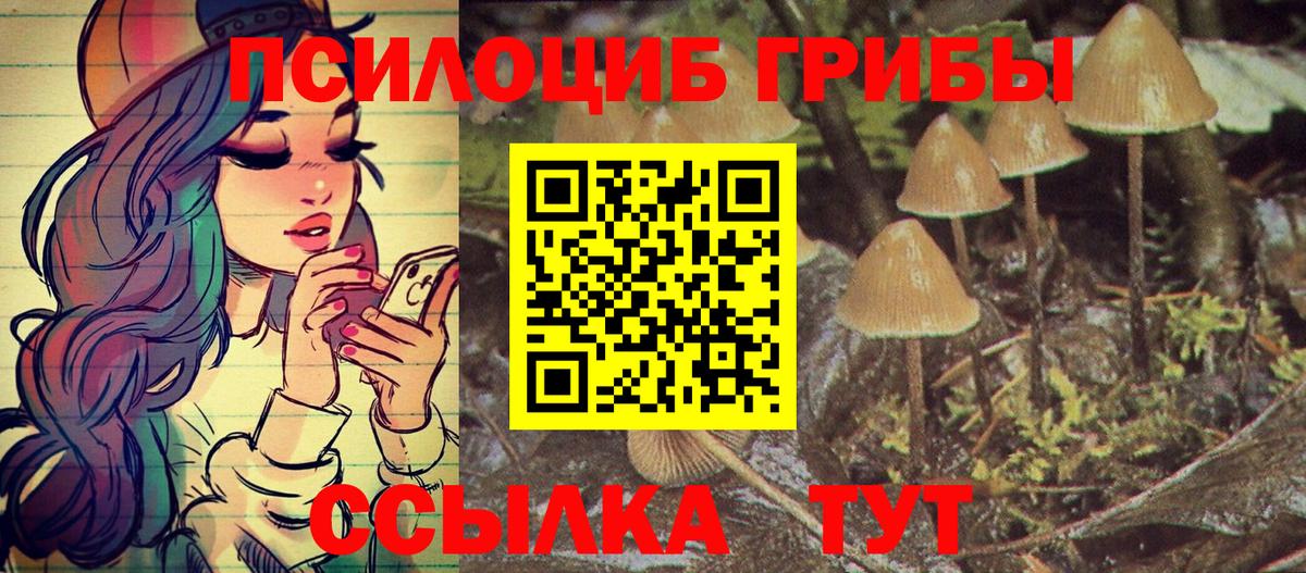 Балахна  Галлюциногенные грибы MAGIC MUSHROOMS  Вход с VPN 